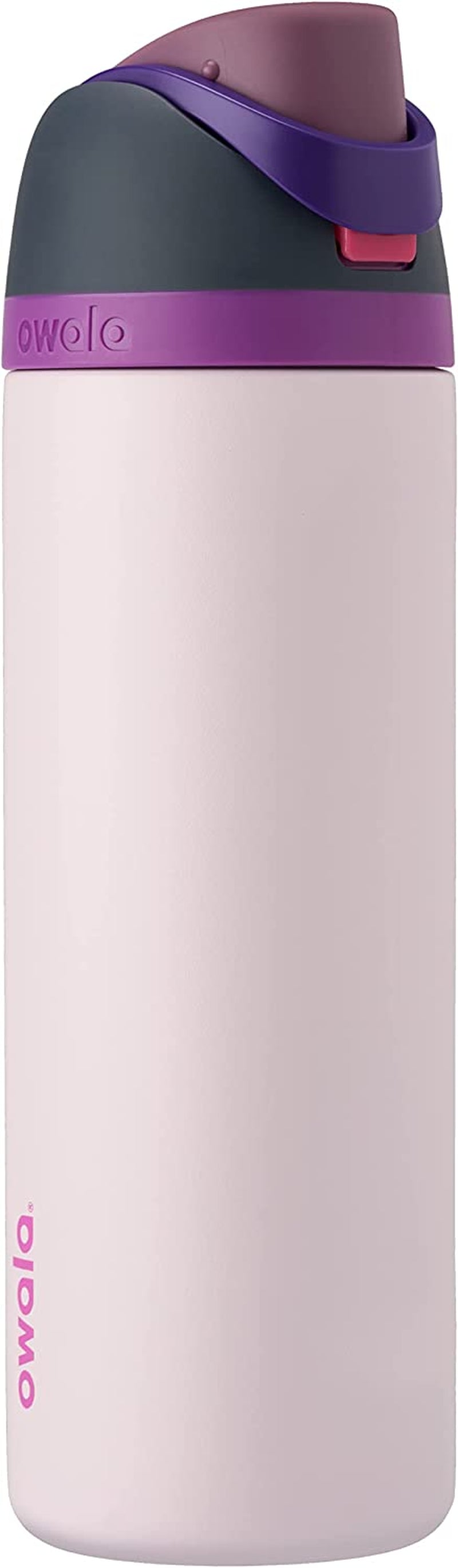 Freesip Insulated Stainless Steel Water Bottle with Straw for Sports, Travel, and School Bpa-Free Sports Water Bottle, 32 Oz, Dreamy Field