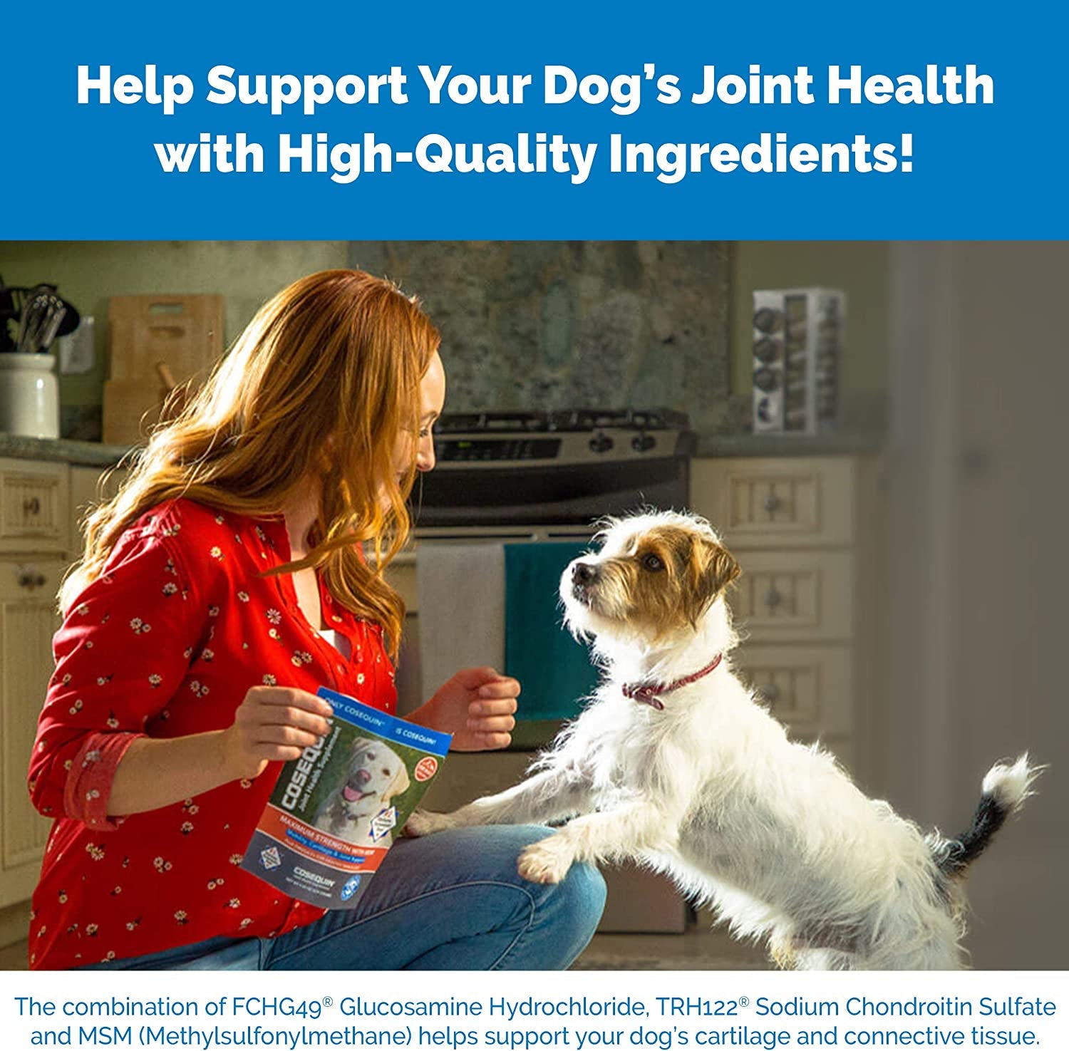 Laboratories  Maximum Strength Joint Health Supplement for Dogs - with Glucosamine, Chondroitin, and MSM, 132 Chewable Tablets