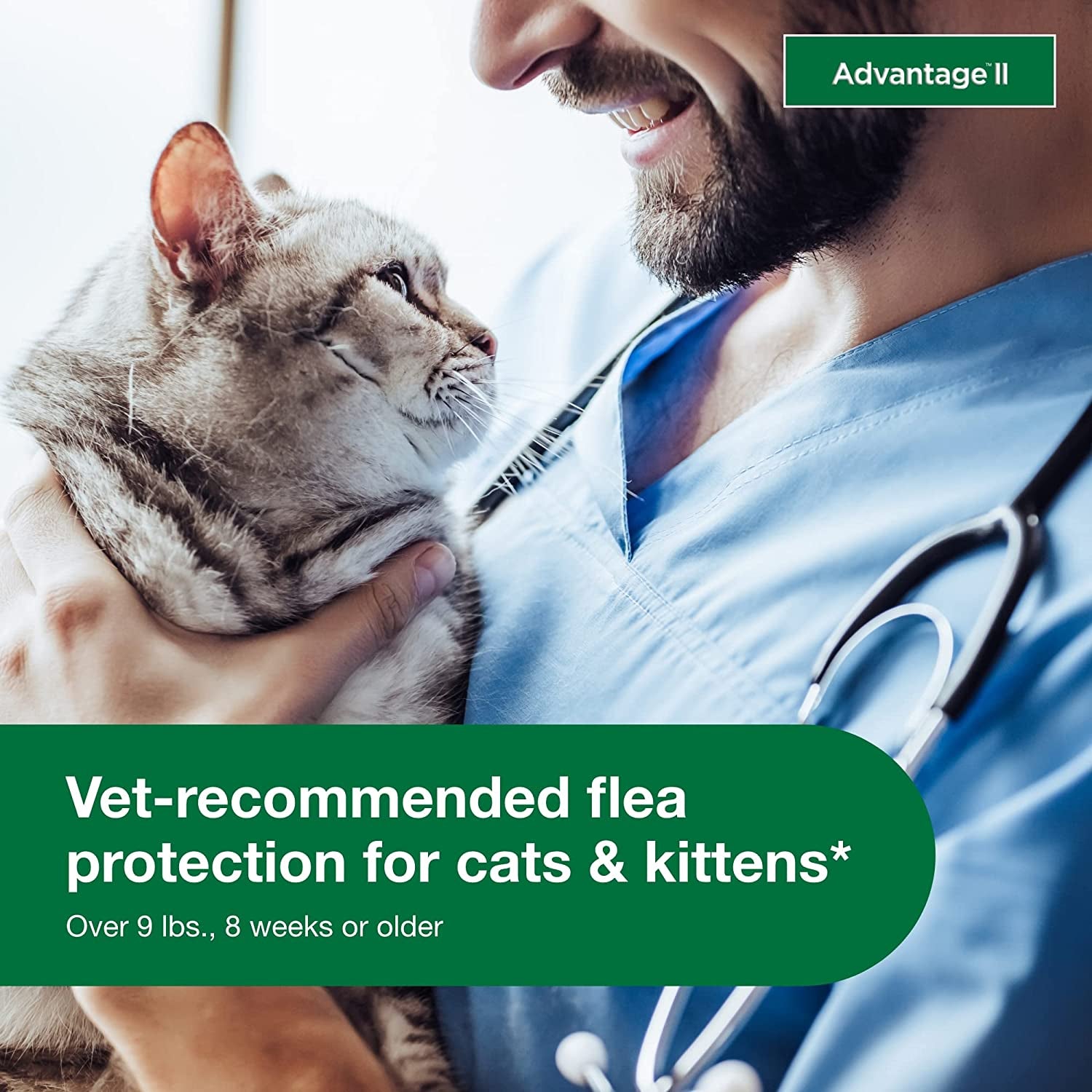 II Large Cat Vet-Recommended Flea Treatment & Prevention | Cats over 9 Lbs. | 6-Month Supply