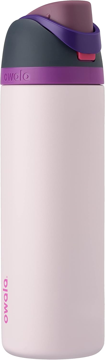 Freesip Insulated Stainless Steel Water Bottle with Straw for Sports, Travel, and School Bpa-Free Sports Water Bottle, 32 Oz, Dreamy Field