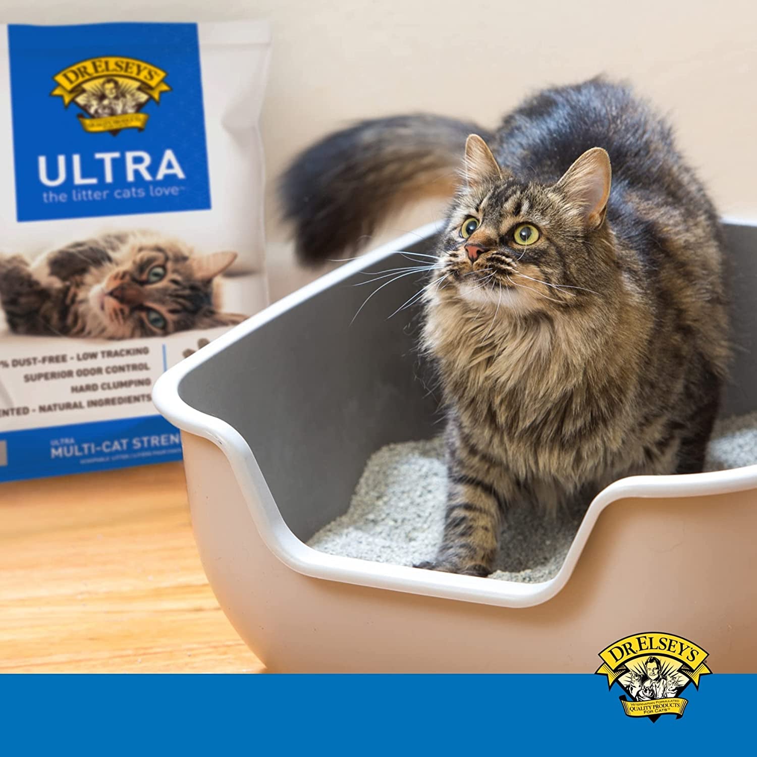 Cat Litter - Premium Unscented Cat Litter W/ Natural Ingredients - Low Dust Superior Odor Control Cat Litter - Hard Clumping Moisture Absorbing Clay Multi Cat Litter (For All Cats - 40Lbs)