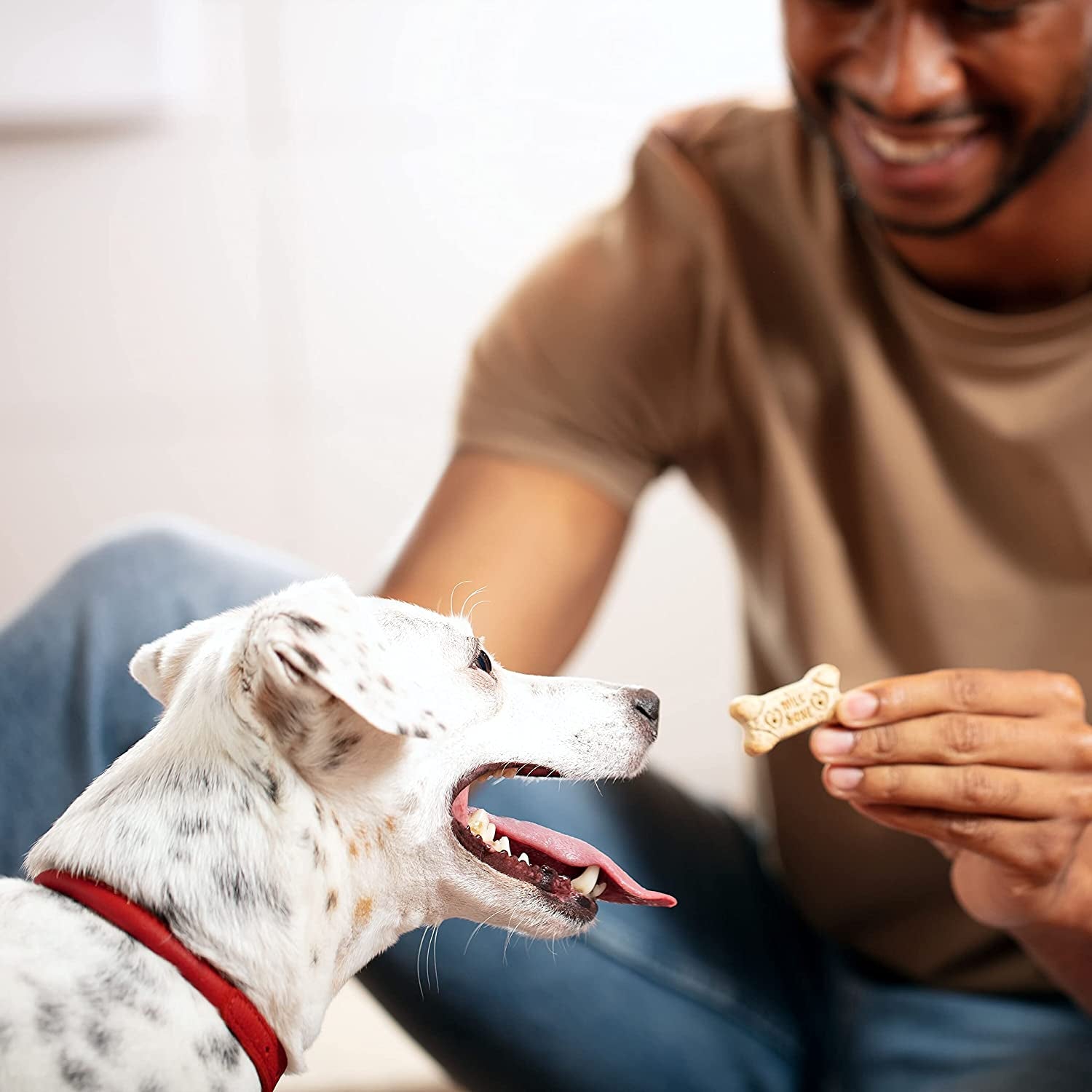 Original Dog Treats for Medium Dogs, 10 Pound, Crunchy Biscuit Helps Clean Teeth