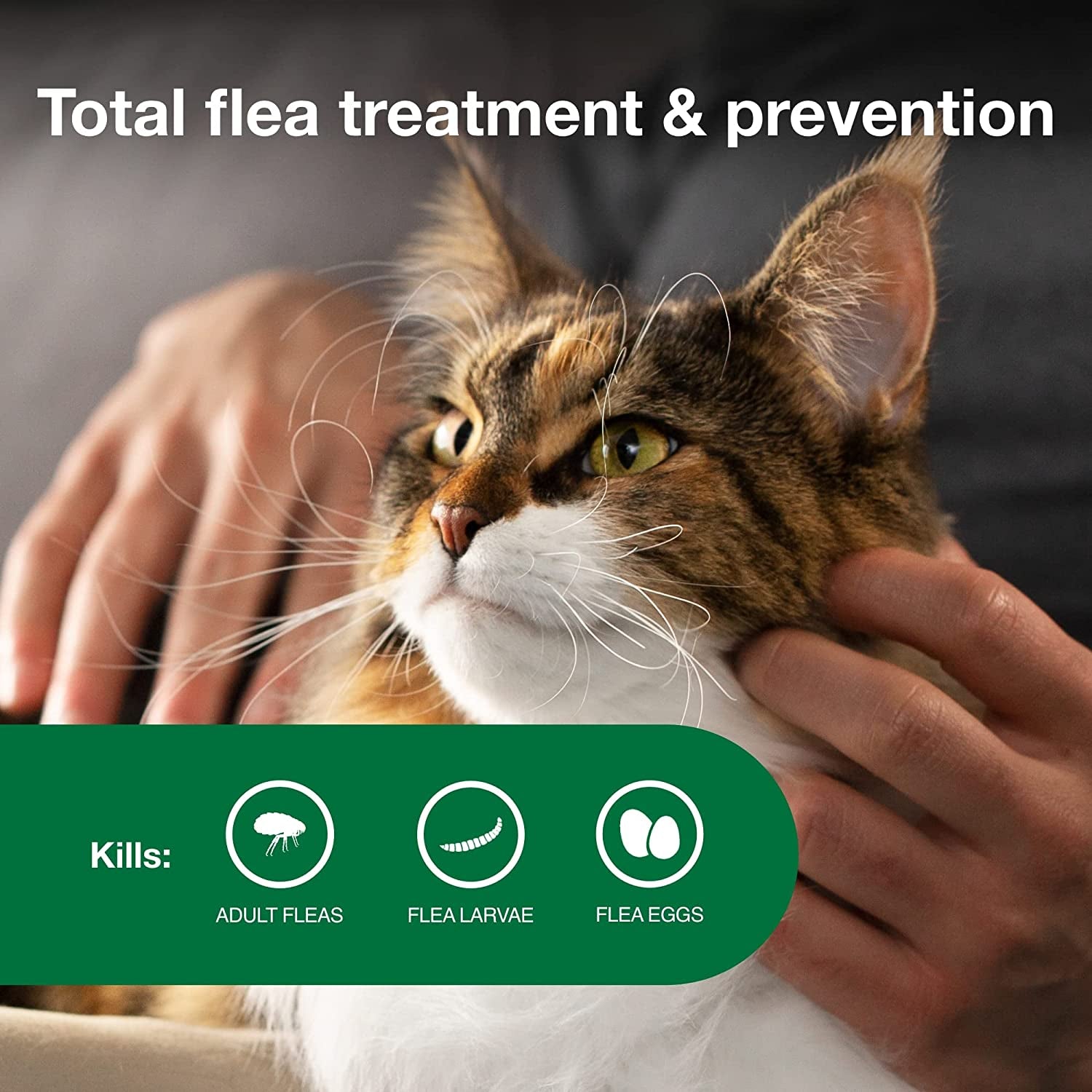 II Large Cat Vet-Recommended Flea Treatment & Prevention | Cats over 9 Lbs. | 6-Month Supply