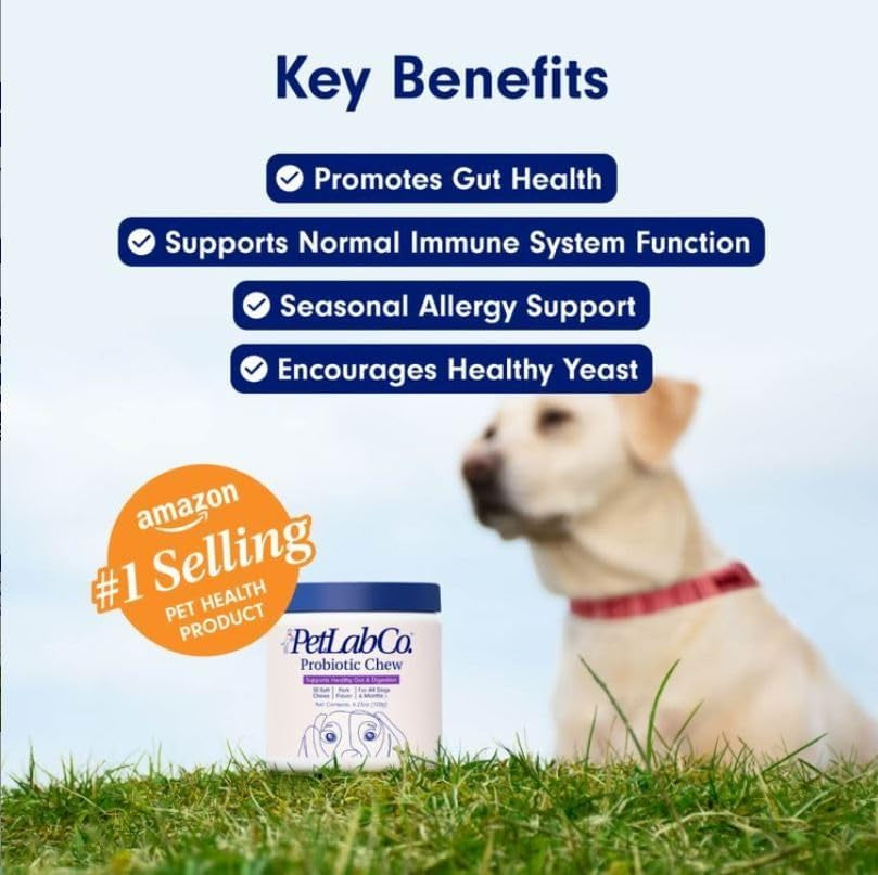 Probiotics for Dogs, Support Gut Health, Occasional Diarrhea, Digestive Health & Seasonal Allergies - Pork Flavor - 30 Soft Chews - Packaging May Vary