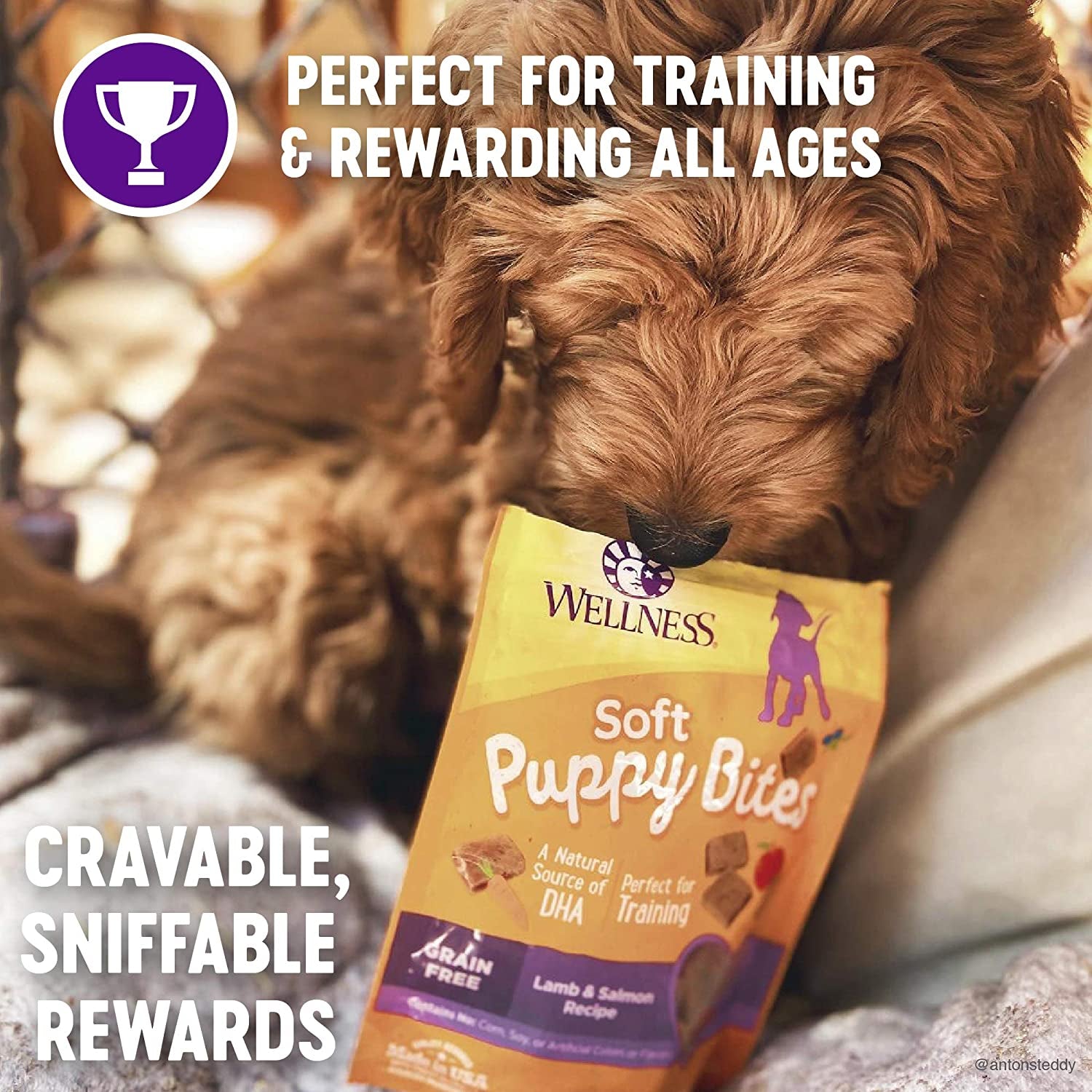 Soft Puppy Bites Healthy Grain-Free Treats for Training, Dog Treats with Real Meat and DHA, No Artificial Flavors (Lamb & Salmon, 8-Ounce Bag)