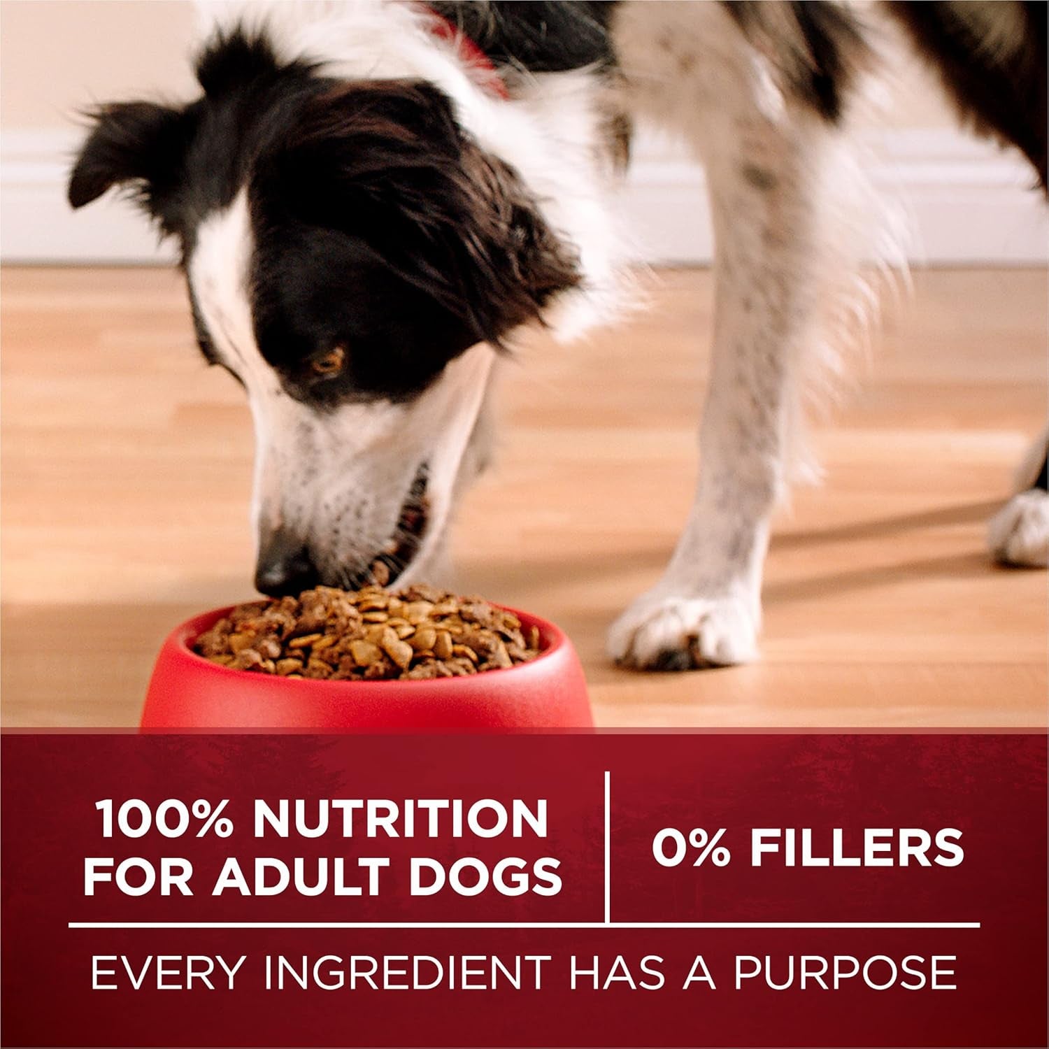 True Instinct with a Blend of Real Turkey and Venison Dry Dog Food - 36 Lb. Bag