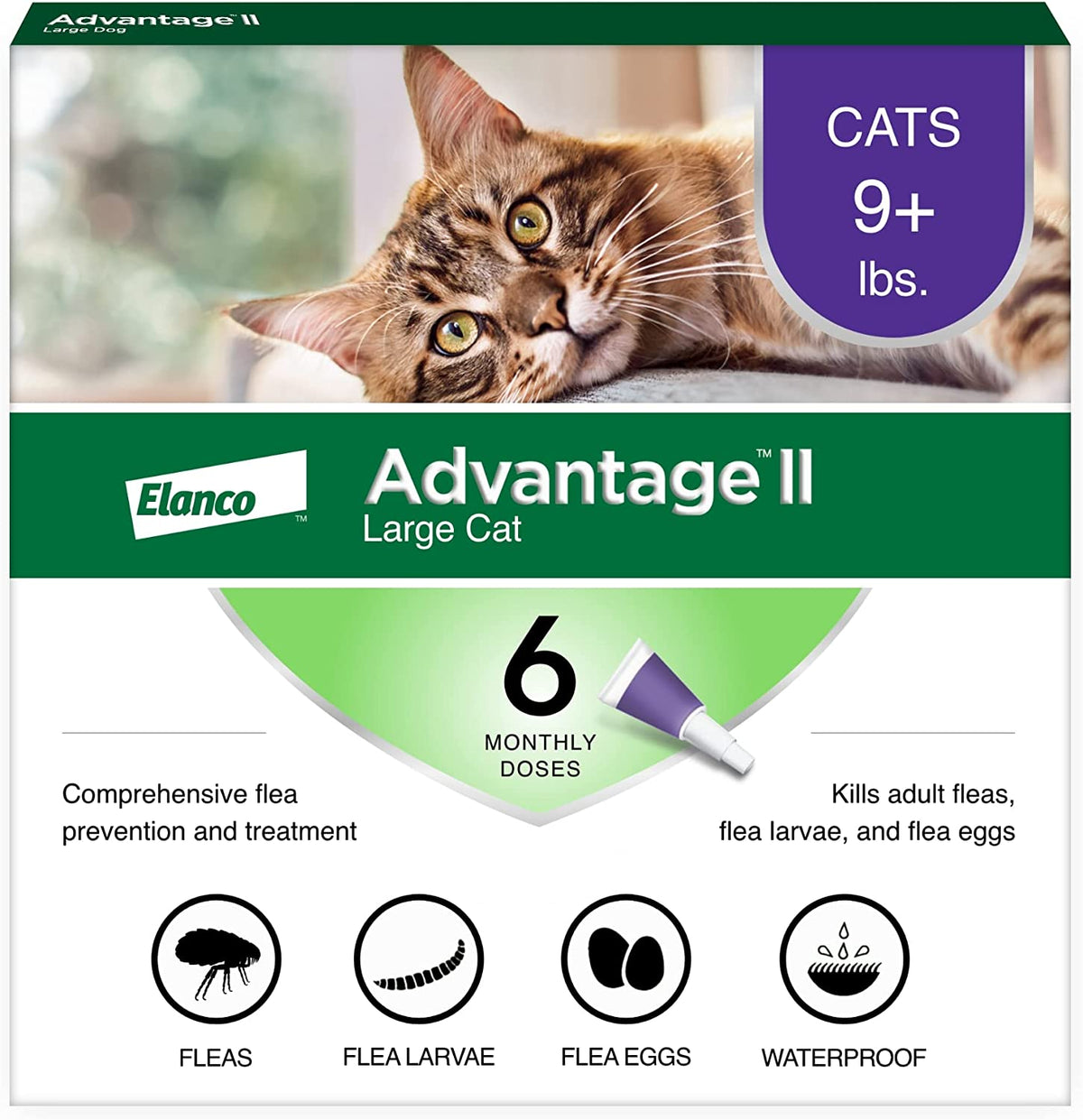 II Large Cat Vet-Recommended Flea Treatment & Prevention | Cats over 9 Lbs. | 6-Month Supply